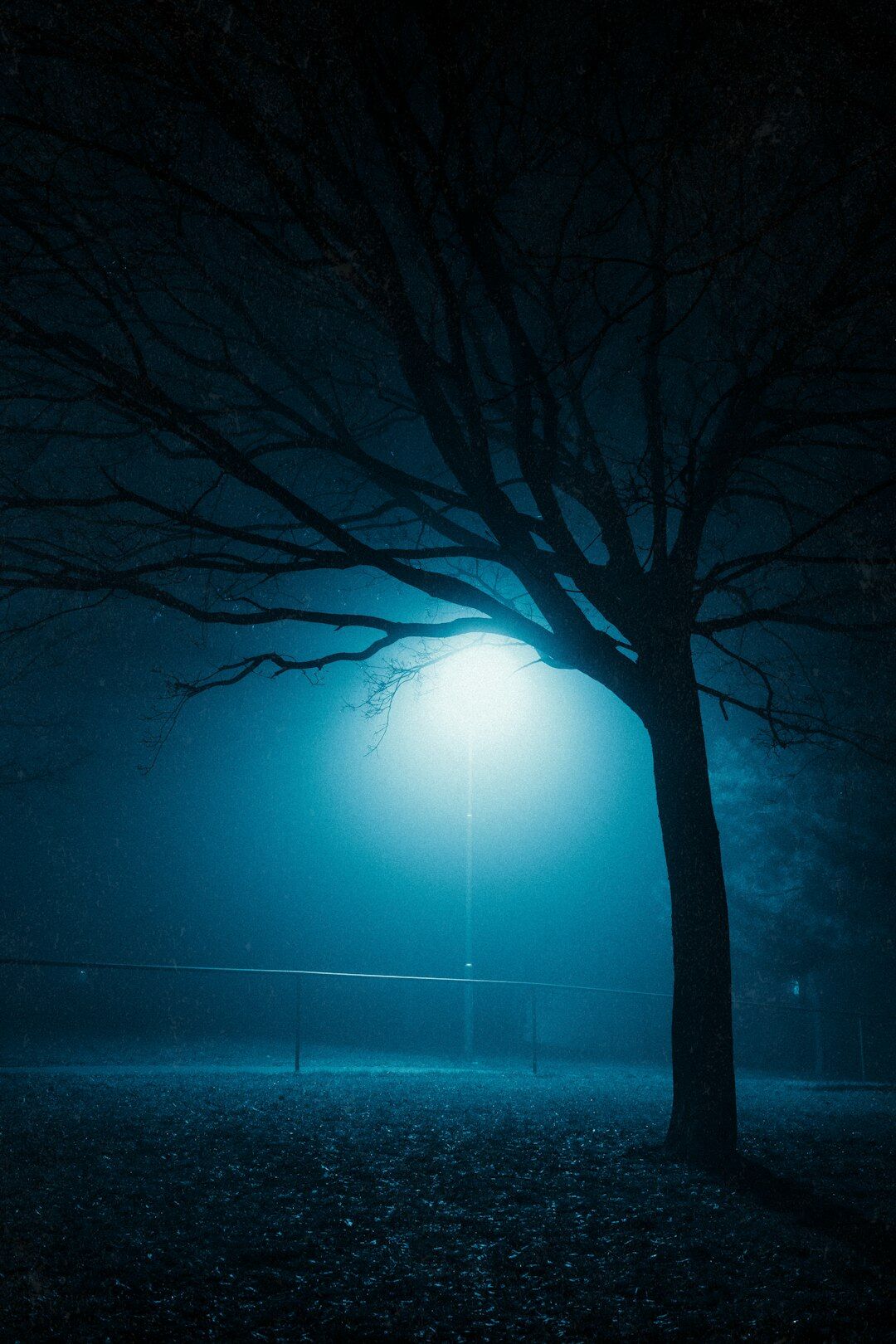 foggy city street at night